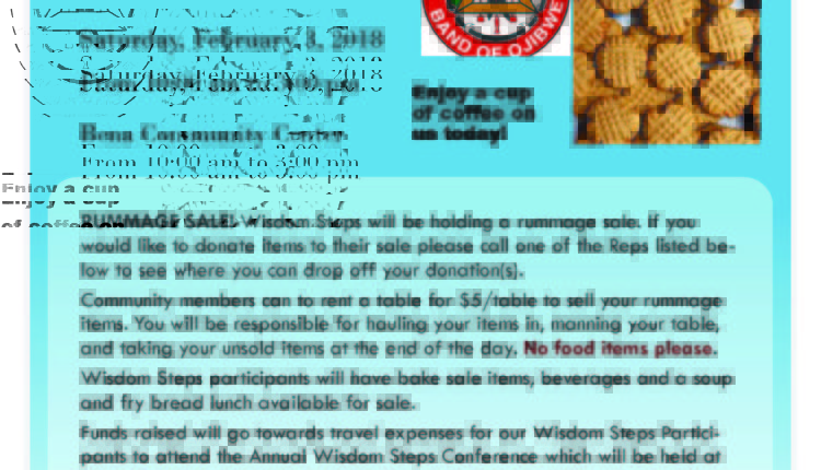 wisdom steps fundraiser feb 3