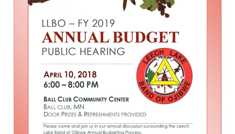 FY 2019 Budget Hearing District I