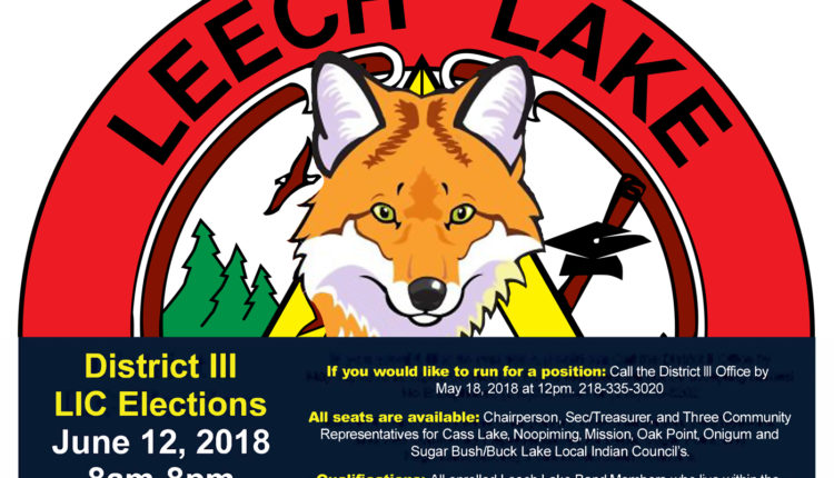 d3_LIC-Elections