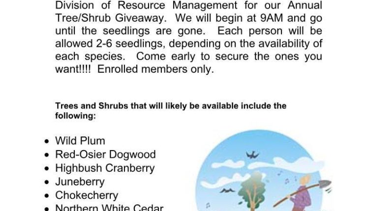 DRM Tree Giveaway