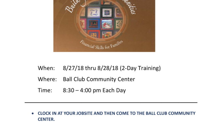 BNC Flyer BALL CLUB-1