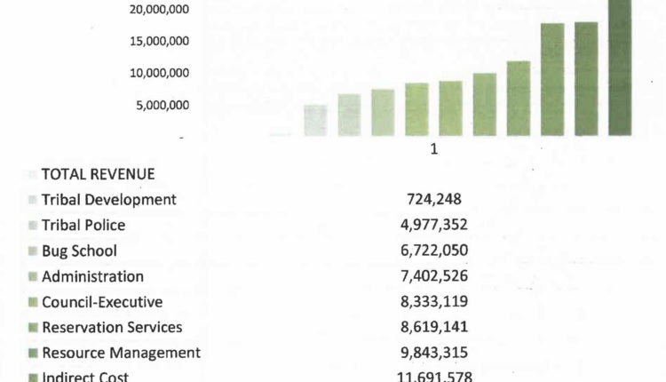 fy20-budget