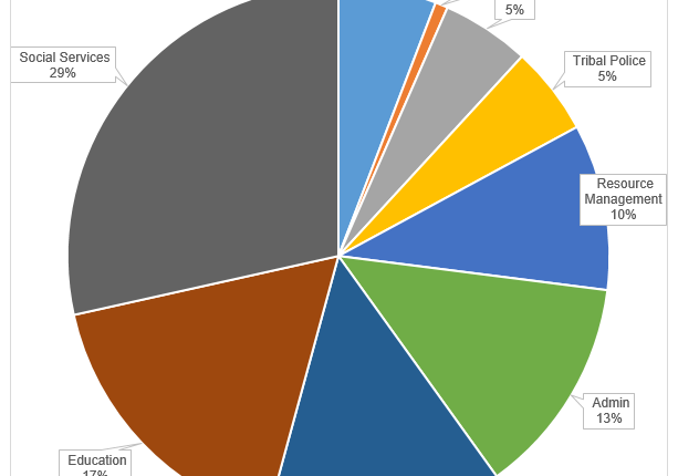 fy20q2