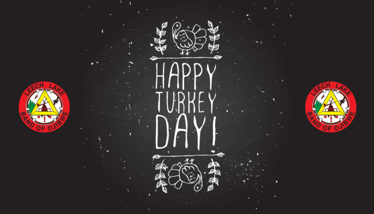 turkeys