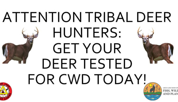 cwd