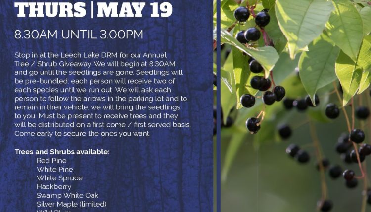 treegiveaway