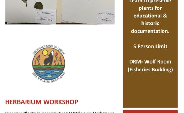 drm-herbarium