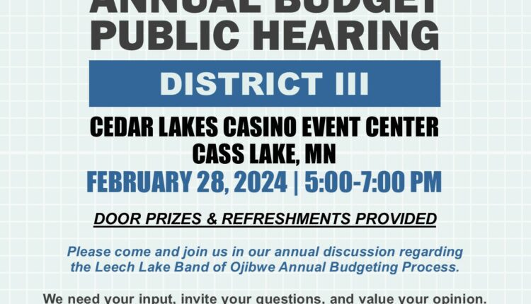 FY 2025 Budget Hearing District 3 SB