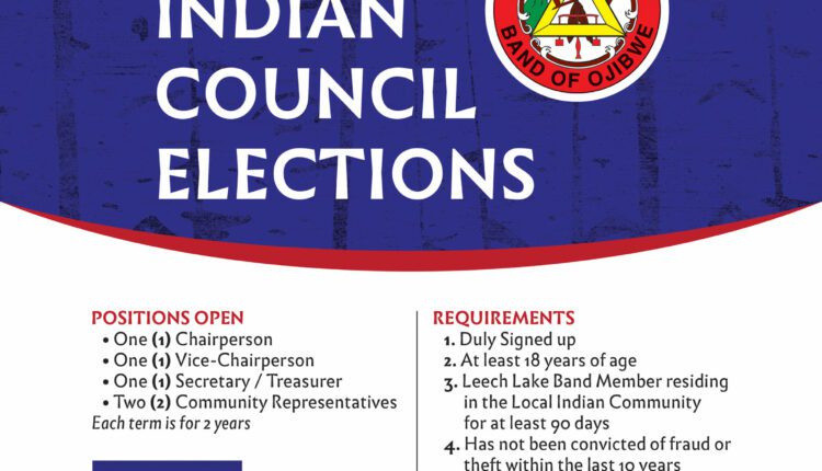 D2_LIC_elections_flyer