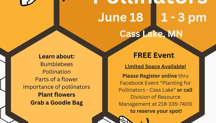 Cass-Lake-Planting-for-Pollinators-Flyer